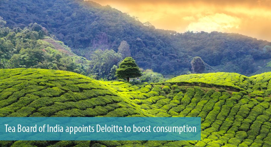 Tea Board of India appoints Deloitte to boost consumption